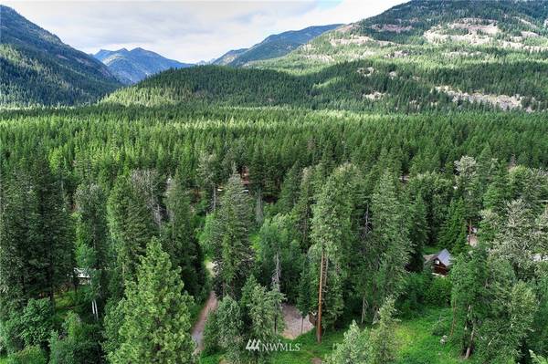 4 Cedar CIR, Mazama, WA 98833