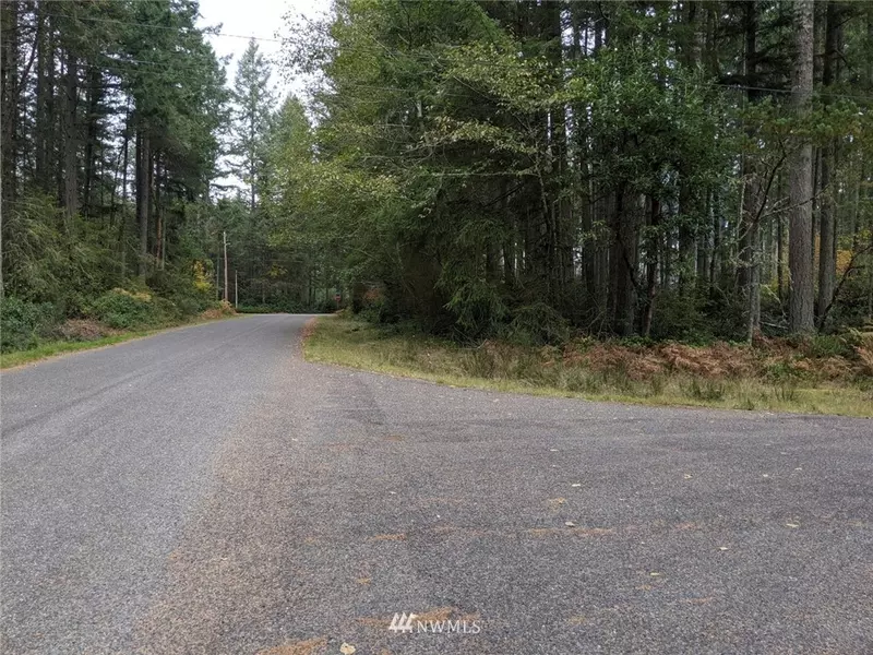 12123 Sunset PL, Anderson Island, WA 98303