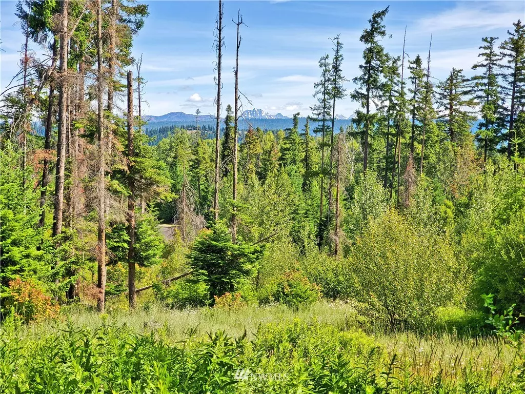 Cle Elum, WA 98922,0 Lot 4A Alpineview DR