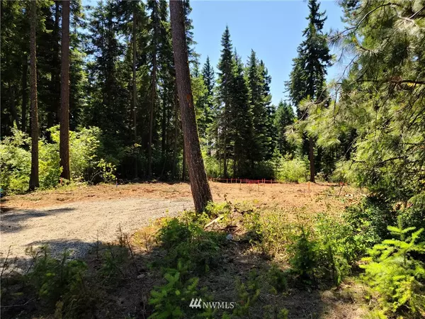 Cle Elum, WA 98922,1341 Snowberry LOOP