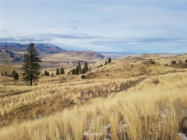 0 Columbia River Bluffs RD, Waterville, WA 98858