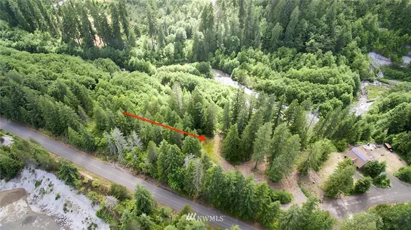 Cougar, WA 98616,3 Lodge Pole LN