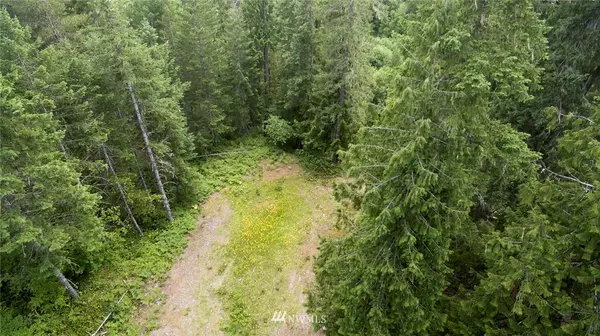 Cougar, WA 98616,3 Lodge Pole LN