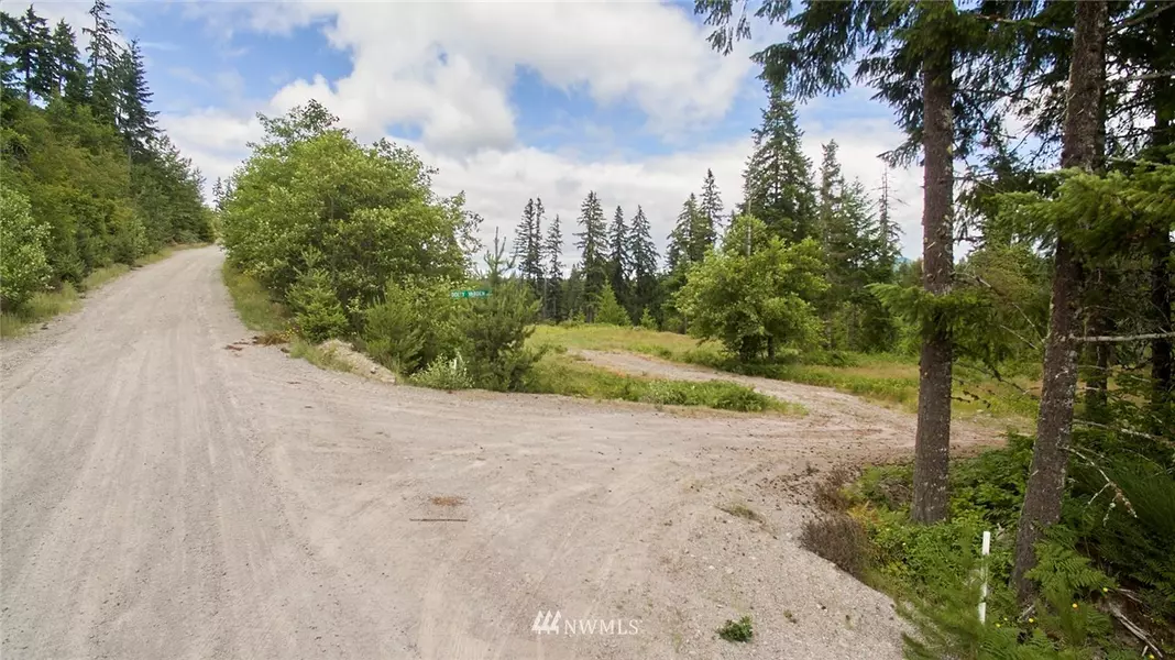 1 Dolly Varden, Cougar, WA 98616
