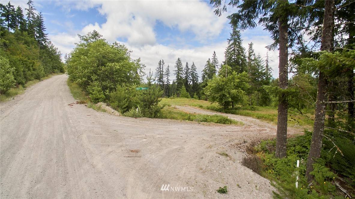 1 Dolly Varden, Cougar, WA 98616