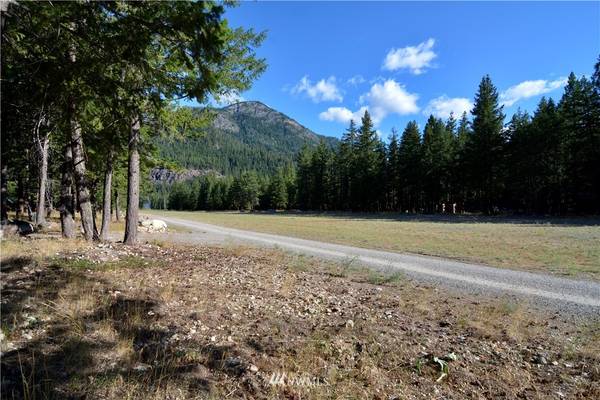 21 Emerson RD, Mazama, WA 98833