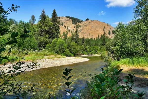 Twisp, WA 98856,64 W Buttermilk Creek RD