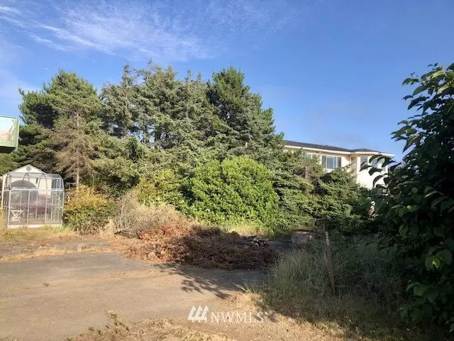 Copalis Beach, WA 98535,32 McCullough RD