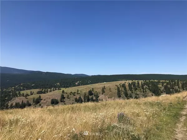 Wauconda, WA 98859,0 LOT4 Sqove RD