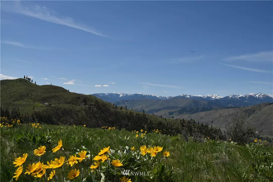 Carlton, WA 98814,203 Vintin RD