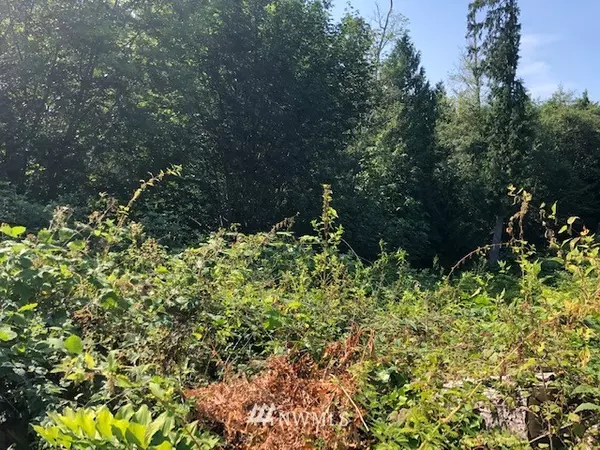 Kingston, WA 98346,0 Lot 36,37,38 Bridgeview PL NE