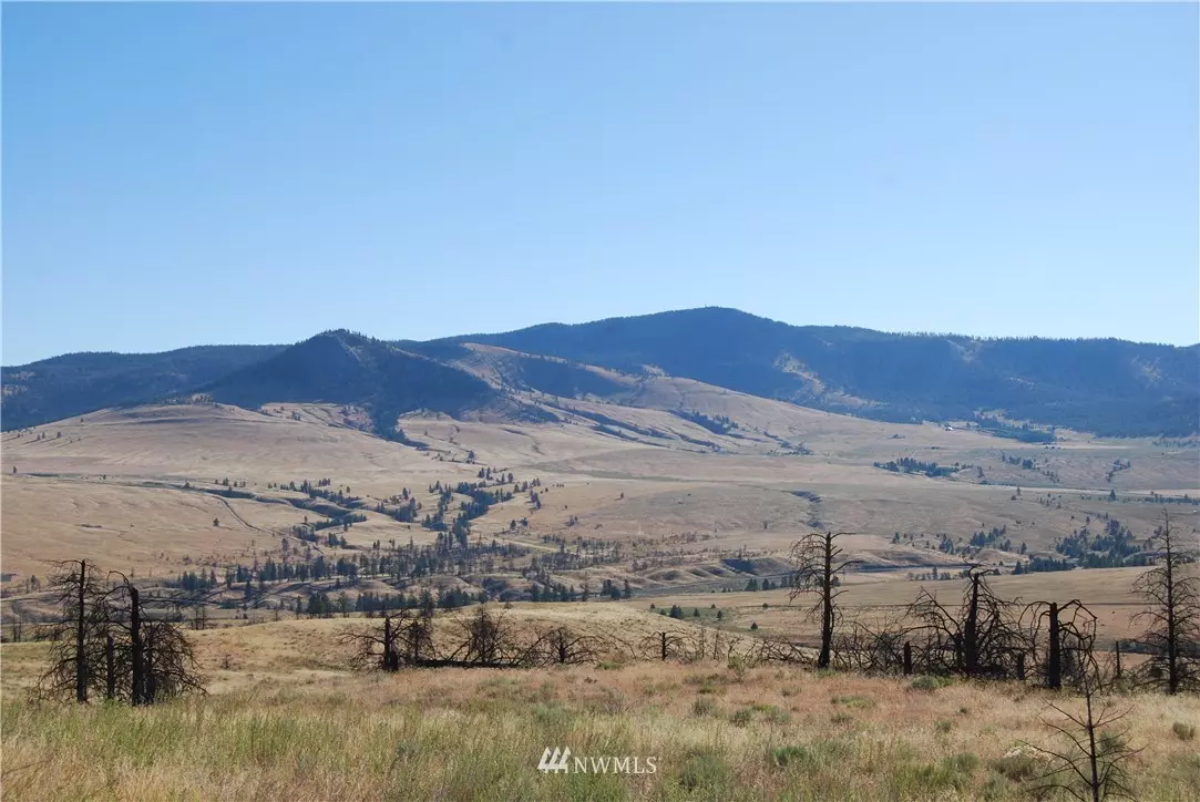 Riverside, WA 98849,214 Hoesheit Rd