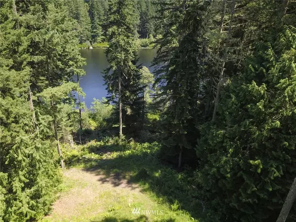 Quilcene, WA 98376,34 Silent Lake RD