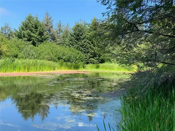 571 Kahkwo CT SE, Ocean Shores, WA 98569