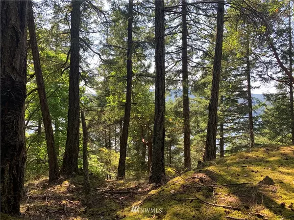 Orcas Island, WA 98245,0 Leeward LN