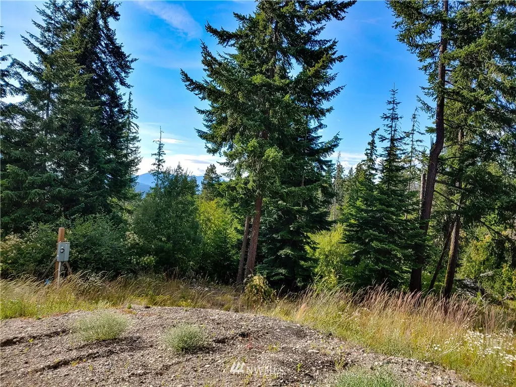 Cle Elum, WA 98922,711 Huntrick DR