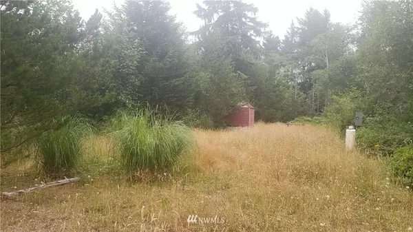 Ocean Park, WA 98640,32204 K PL