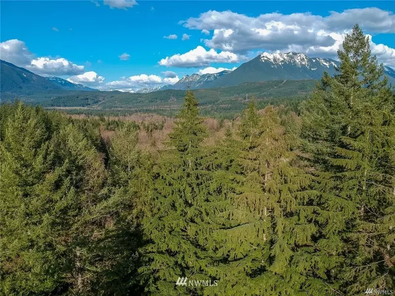 0 XXXX SE Edgewick RD ( 2 acres), North Bend, WA 98045