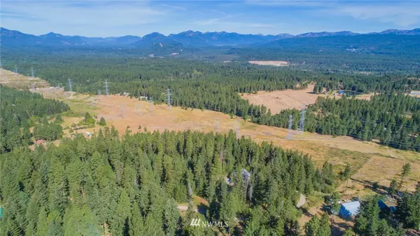 Cle Elum, WA 98922,171 Noble PL