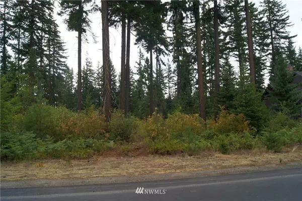 Cle Elum, WA 98922,91 Equinox DR