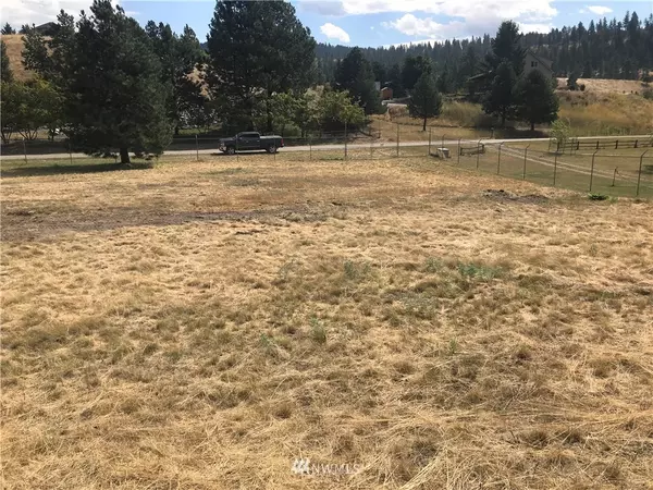 Republic, WA 99166,0 lot54 Heron LOOP