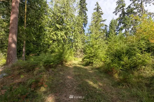 Sequim, WA 98382,9999 Springwater LN