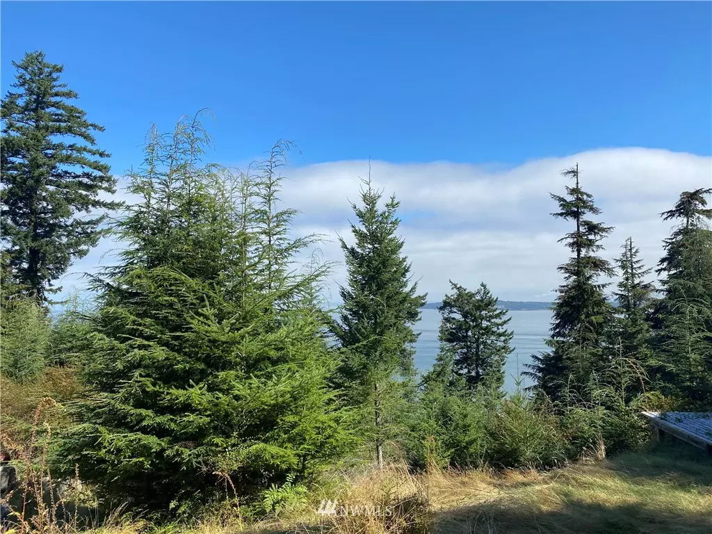 Orcas Island, WA 98279,36 Coastline DR