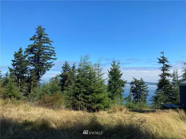 Orcas Island, WA 98279,36 Coastline DR