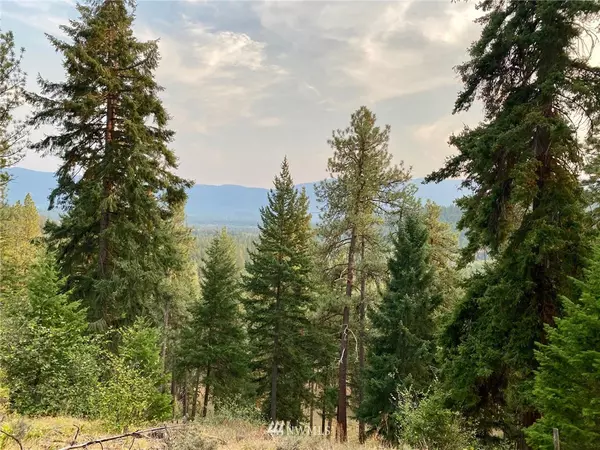 Cle Elum, WA 98922,1570 Pinegrass LOOP