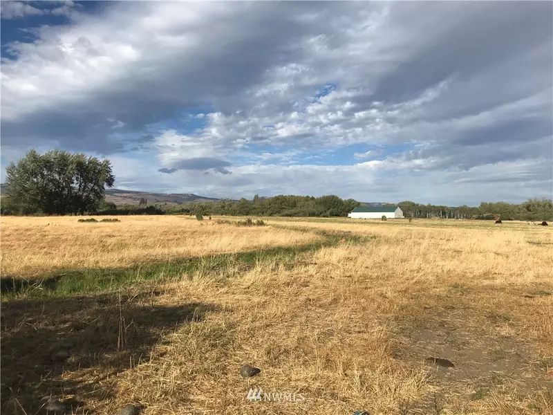 2 XXX Wilson Creek RD, Ellensburg, WA 98926