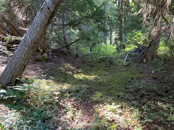 270 Mtn Home LN, Easton, WA 98925