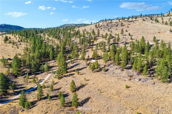 2011 Cayuse Mountain RD E, Okanogan, WA 98855