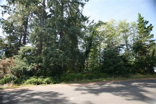 32425 Douglas DR, Oysterville, WA 98641