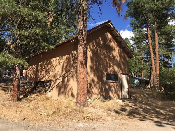 Twisp, WA 98856,7 Ponderosa Pine LN