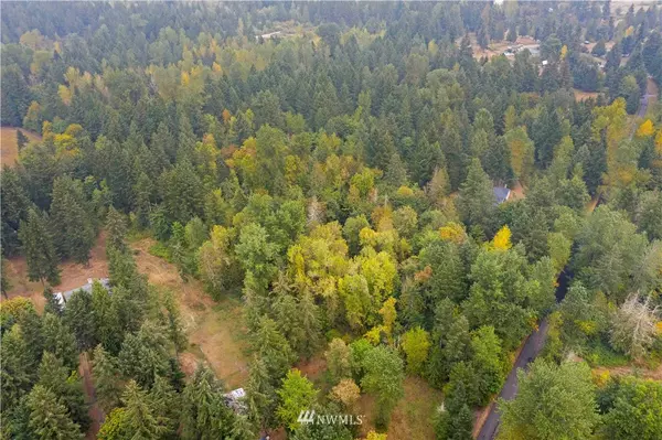 Roy, WA 98580,0 lot 5 368th ST S