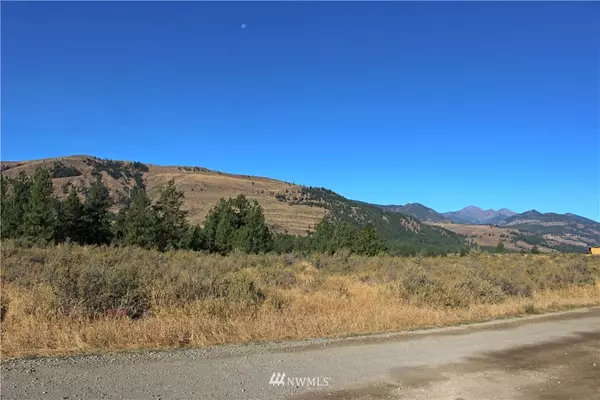 Winthrop, WA 98862,0 Palomino Rd, Lot #28