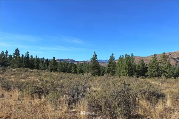 Winthrop, WA 98862,0 Palomino Rd, Lot #28