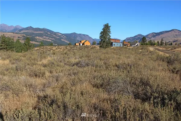 Winthrop, WA 98862,0 Palomino Rd, Lot #28