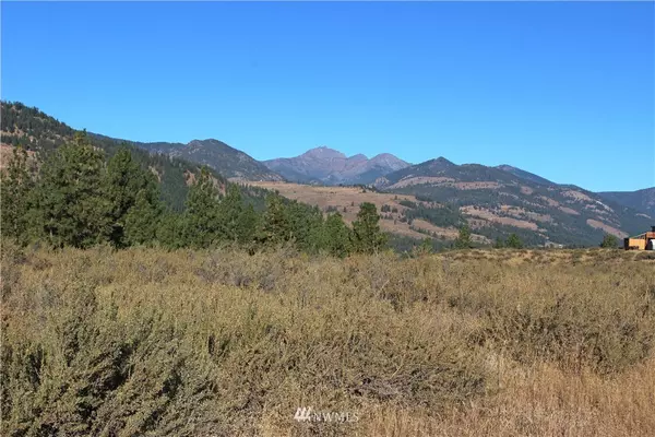 0 Palomino Rd, Lot #28, Winthrop, WA 98862