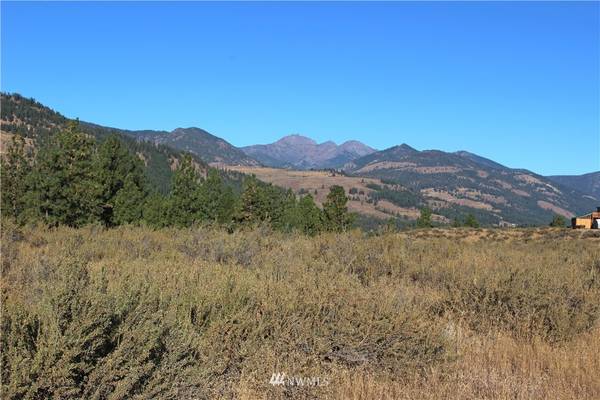 0 Palomino Rd, Lot #28, Winthrop, WA 98862