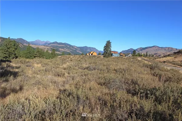 Winthrop, WA 98862,0 Palomino Rd, Lot #28