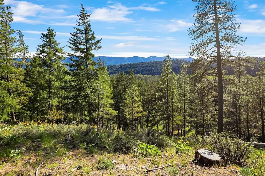 1110 Pinegrass LOOP, Cle Elum, WA 98922