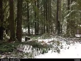 6993 Snoqualmie PL, Deming, WA 98244