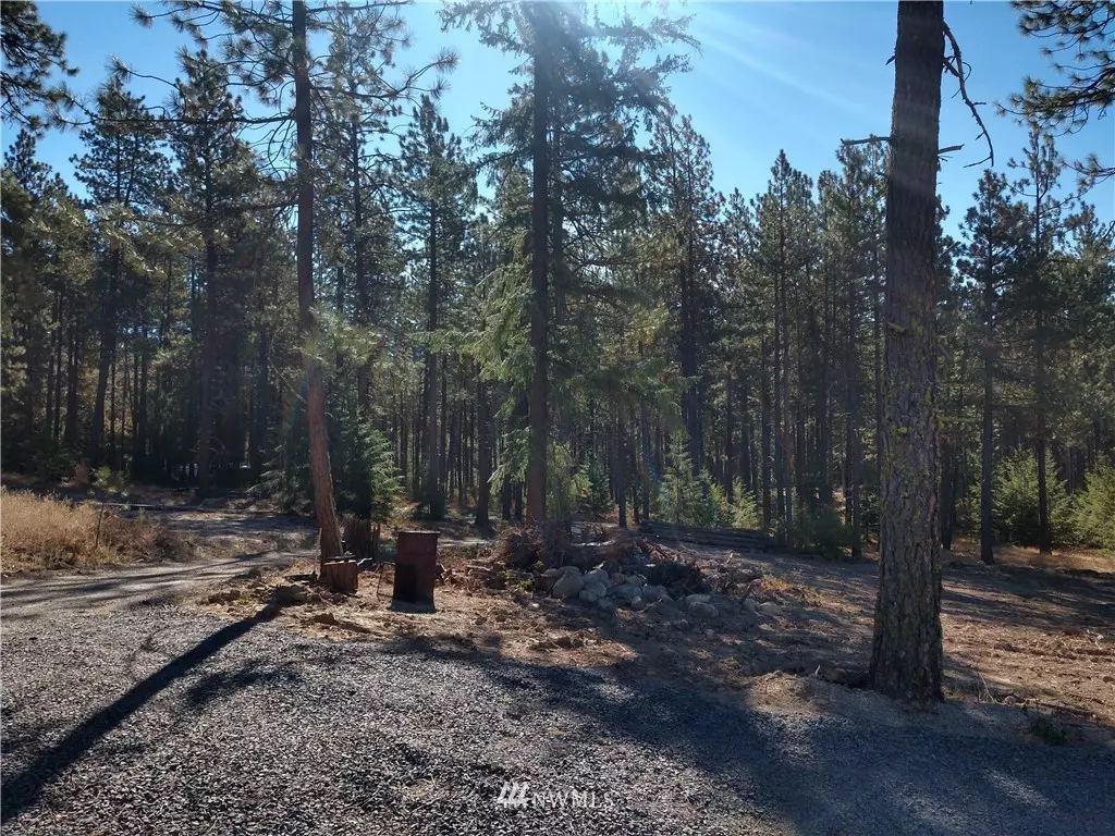 Cle Elum, WA 98922,27 Lannigan Springs