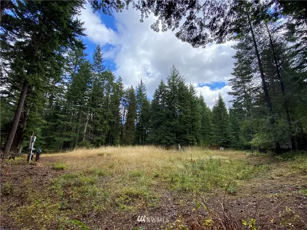 730 Timber Mountain LOOP, Cle Elum, WA 98922