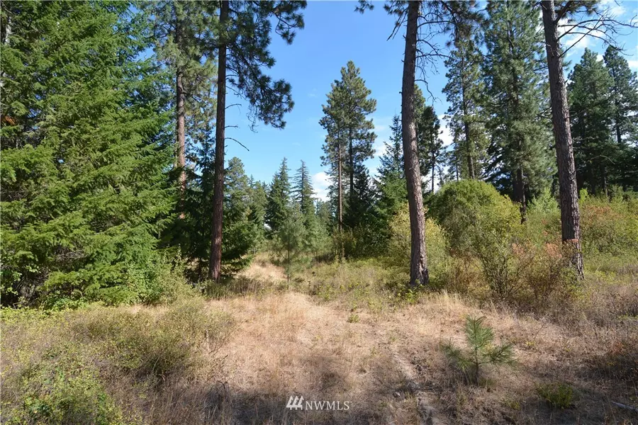 6051 Upper Peoh Point RD, Cle Elum, WA 98922