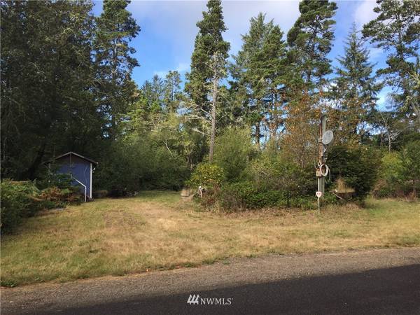 33917 V PL, Ocean Park, WA 98640