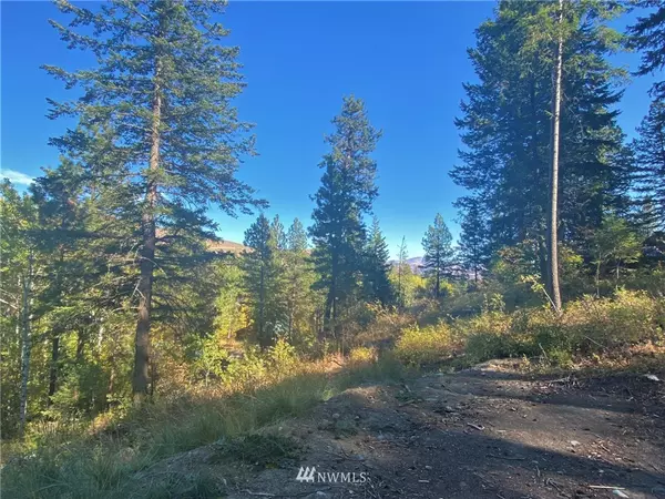 Winthrop, WA 98862,59 Whitebark LN