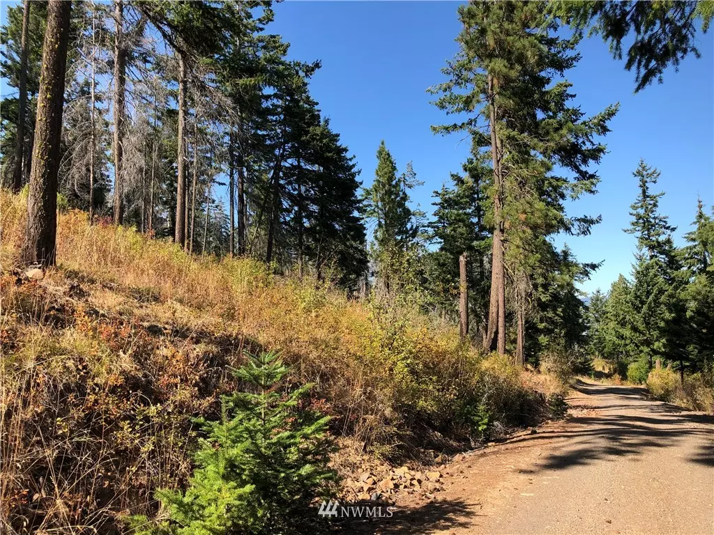 Cle Elum, WA 98922,0 Lot B-4 Hidden Valley Terrace RD