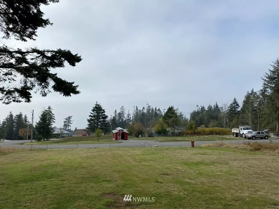 Coupeville, WA 98239,0 Mistletoe